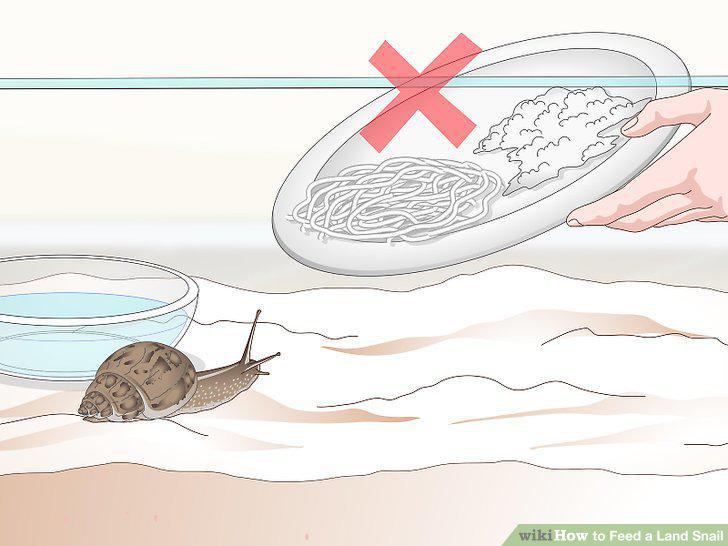 Step 8