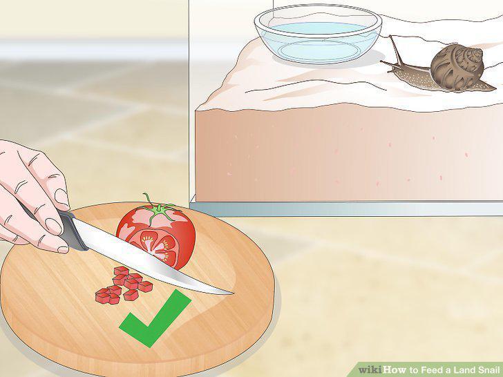 Step 9