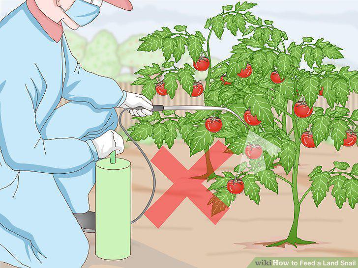Step 10