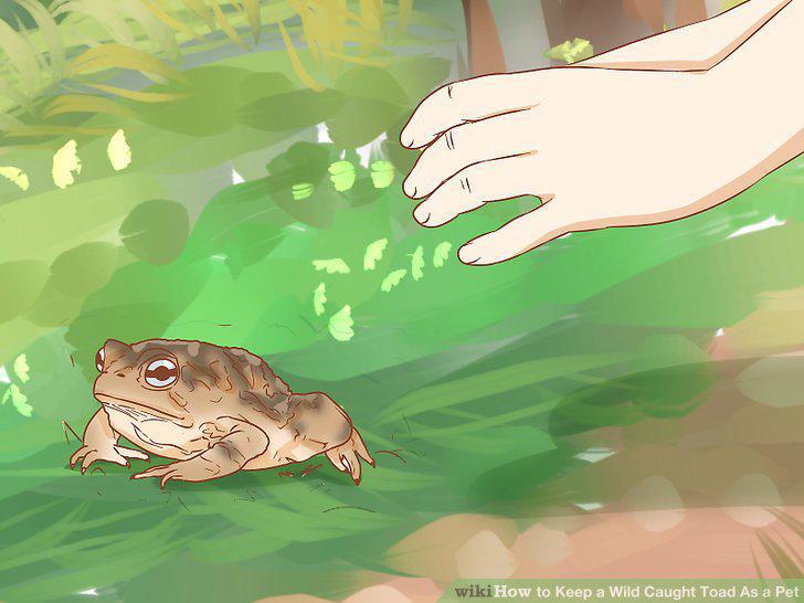 Step 11