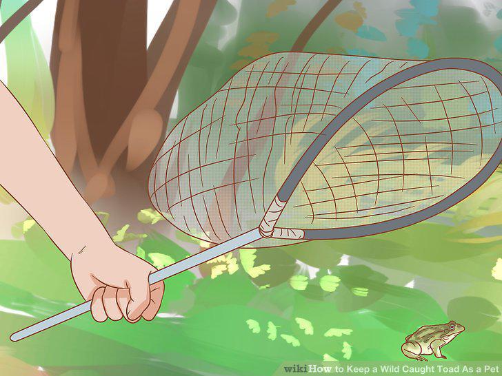 Step 12