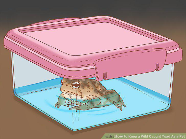 Step 13