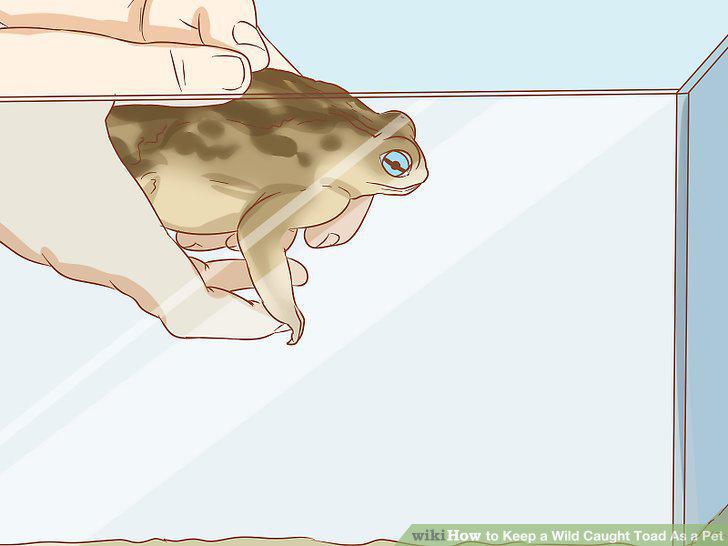 Step 14