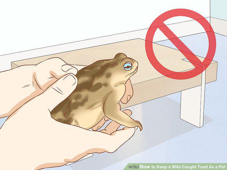Step 5