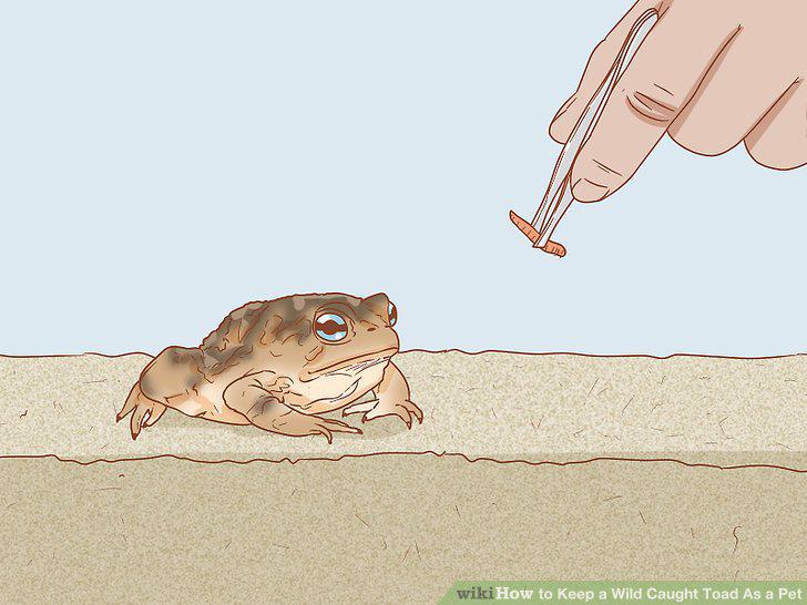 Step 8