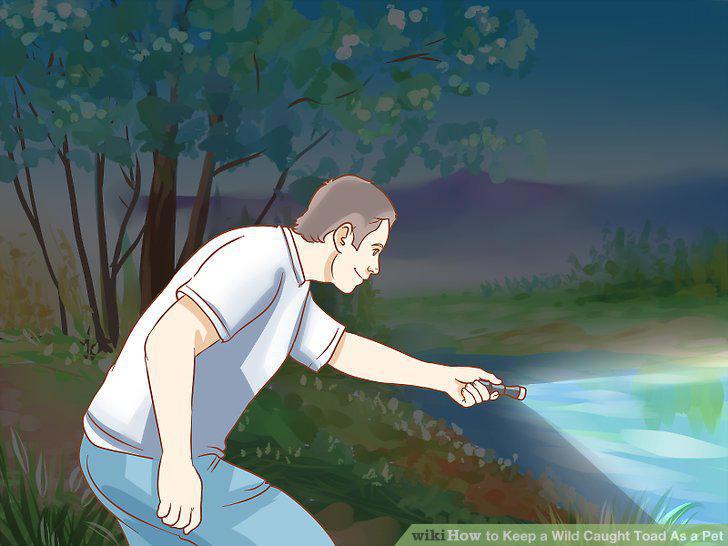 Step 10