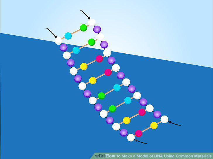 Step 11