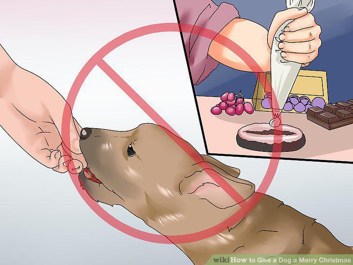 Step 11