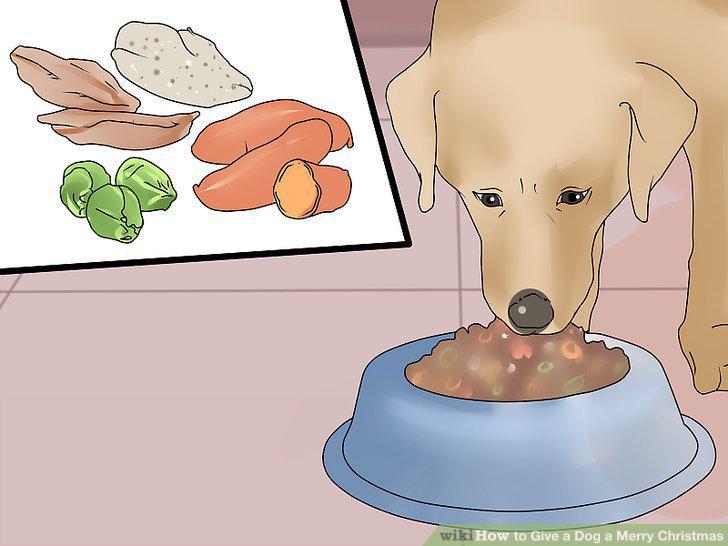 Step 12
