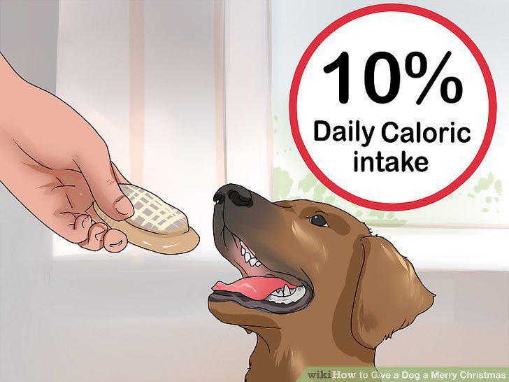 Step 14