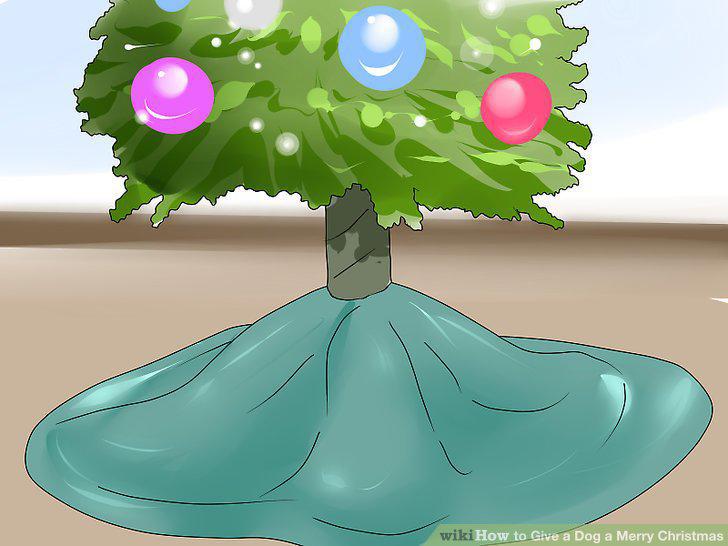 Step 6
