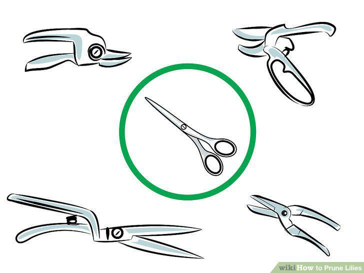 Step 2