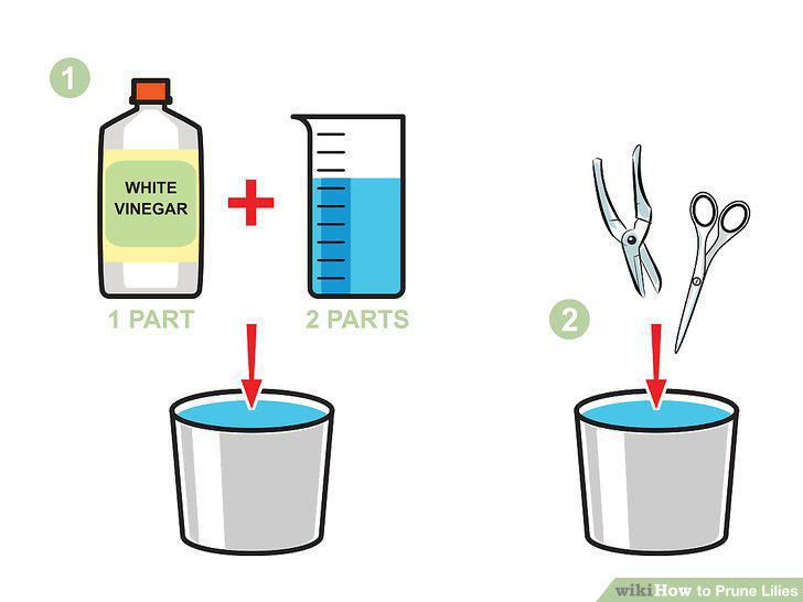Step 5