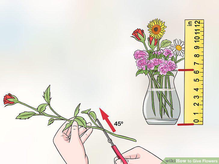 Step 6