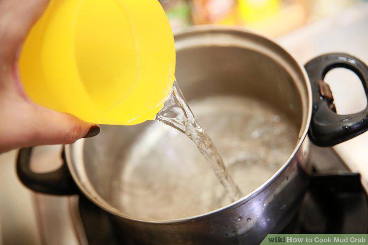 Step 13