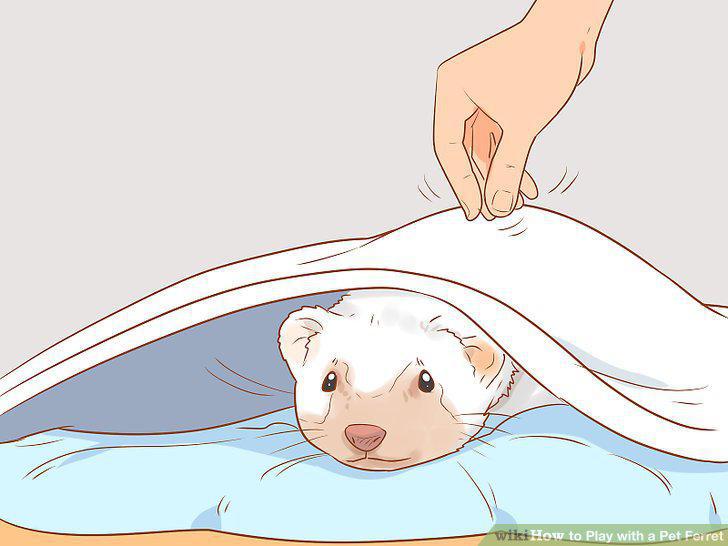 Step 11