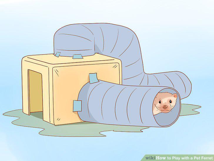 Step 12