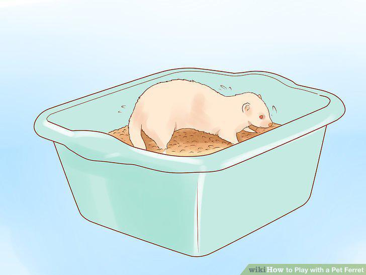 Step 13