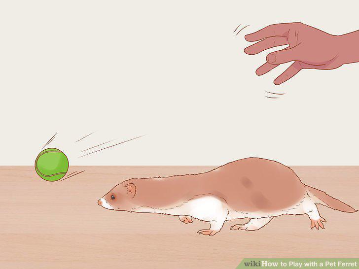 Step 8