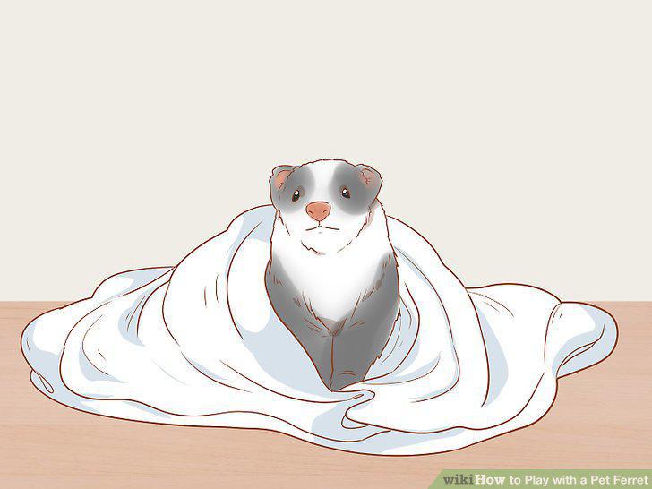 Step 10