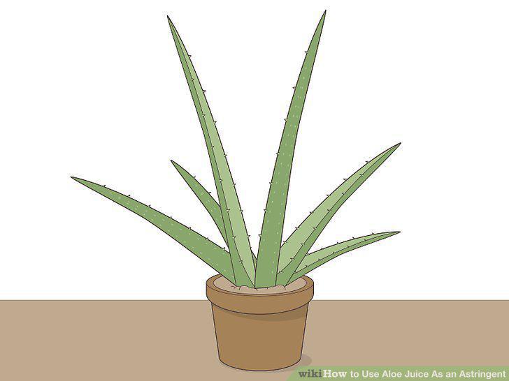 Step 11