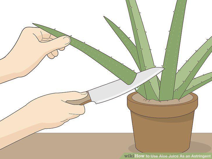 Step 12