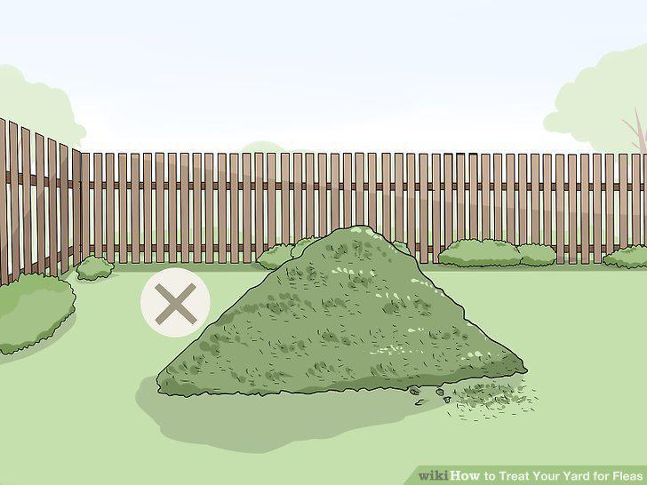 Step 11