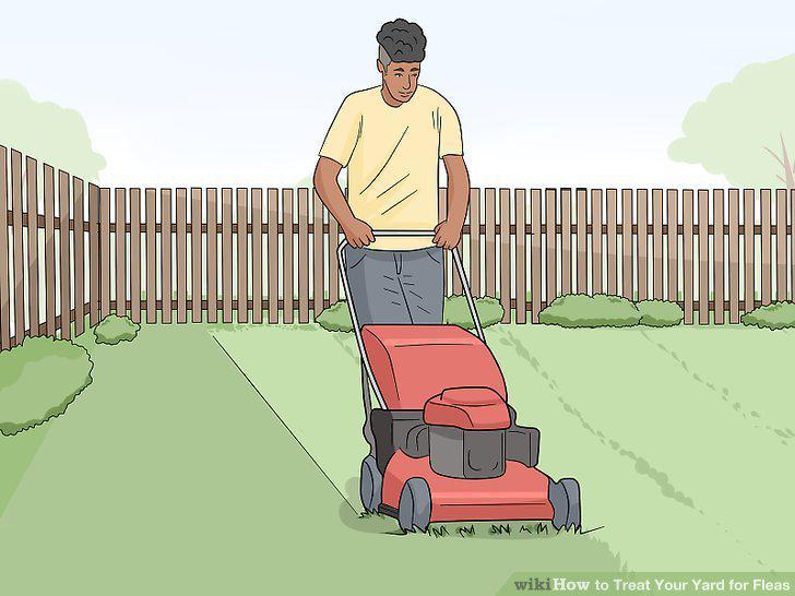 Step 10