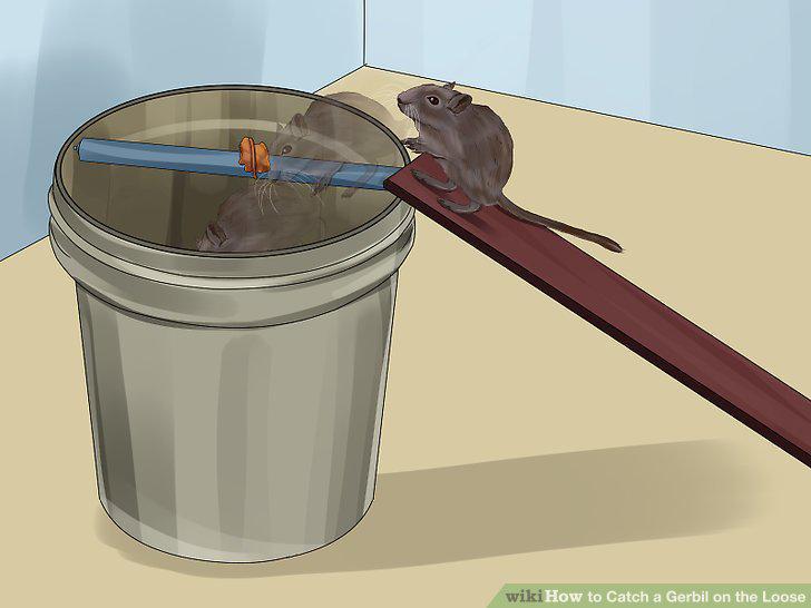 Step 14
