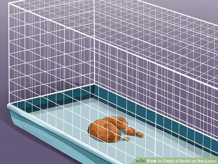 Step 15