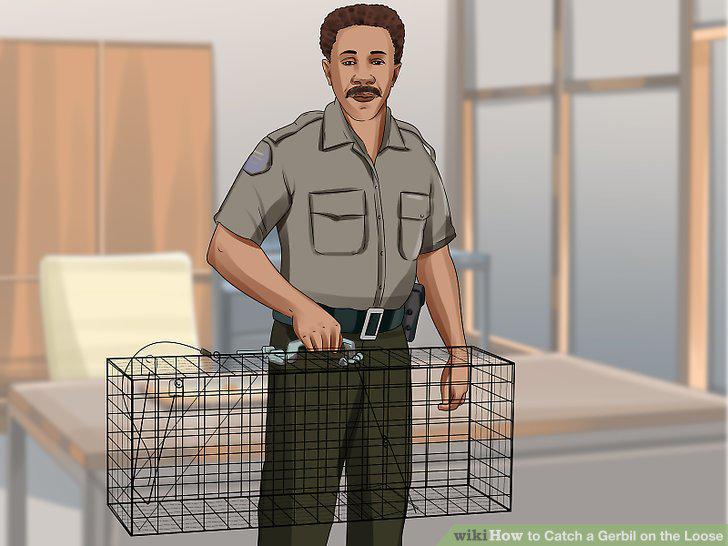Step 16