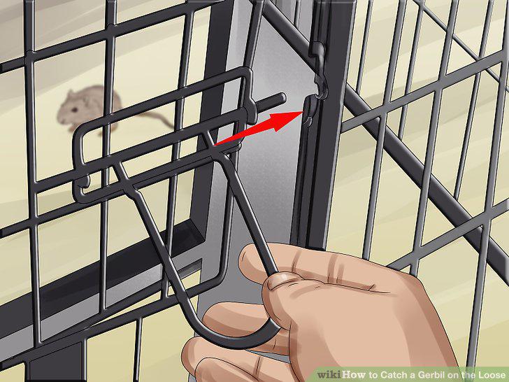 Step 17