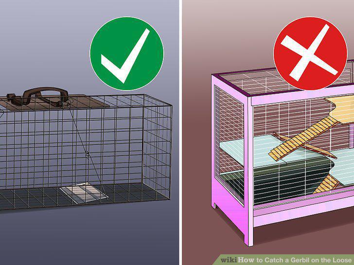 Step 19