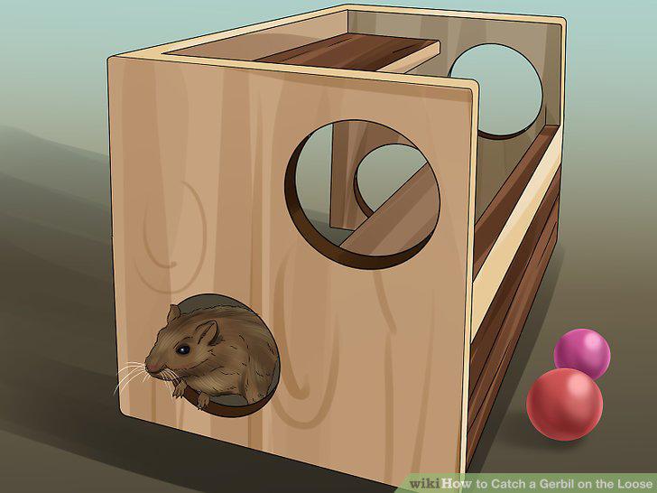 Step 20