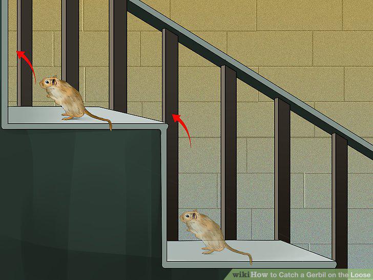Step 6