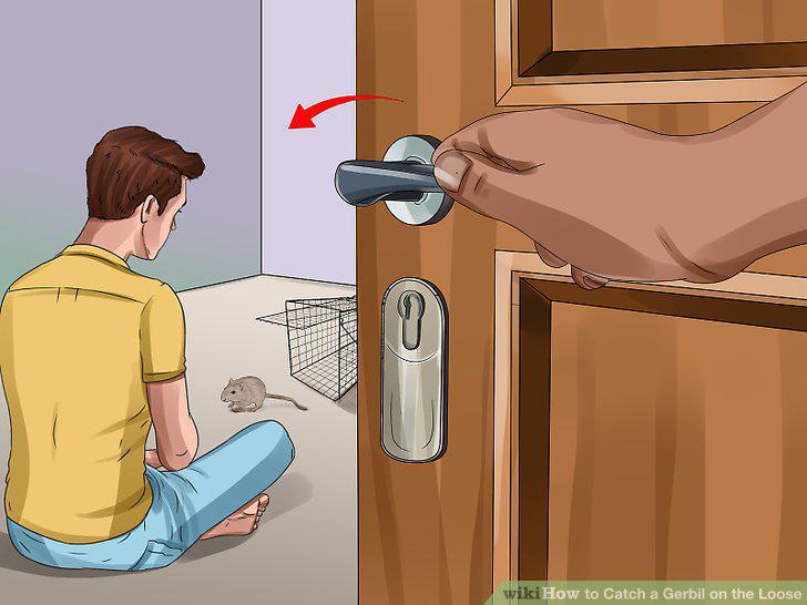 Step 8
