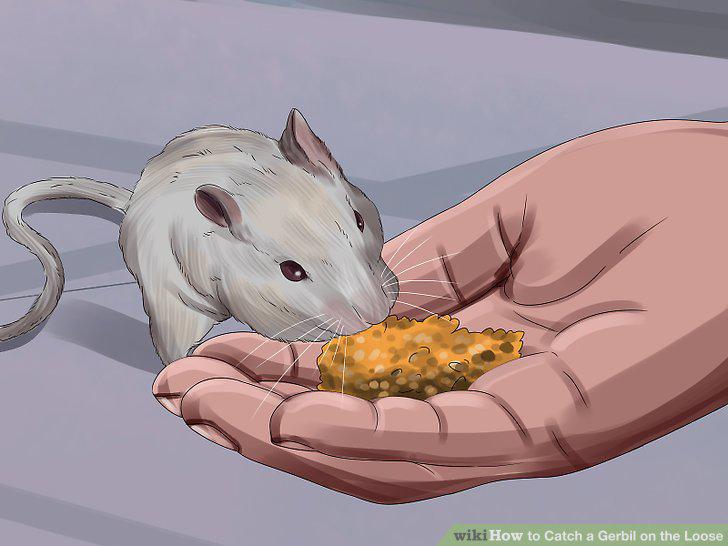 Step 10