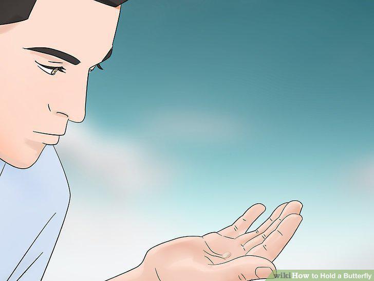 Step 11
