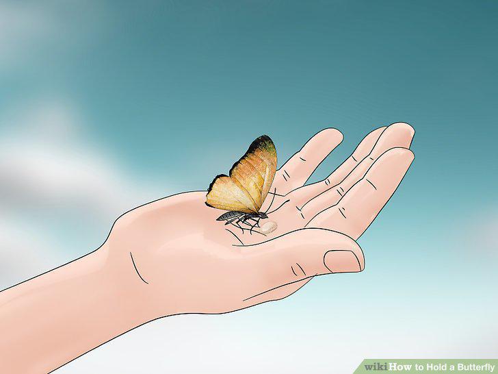 Step 12