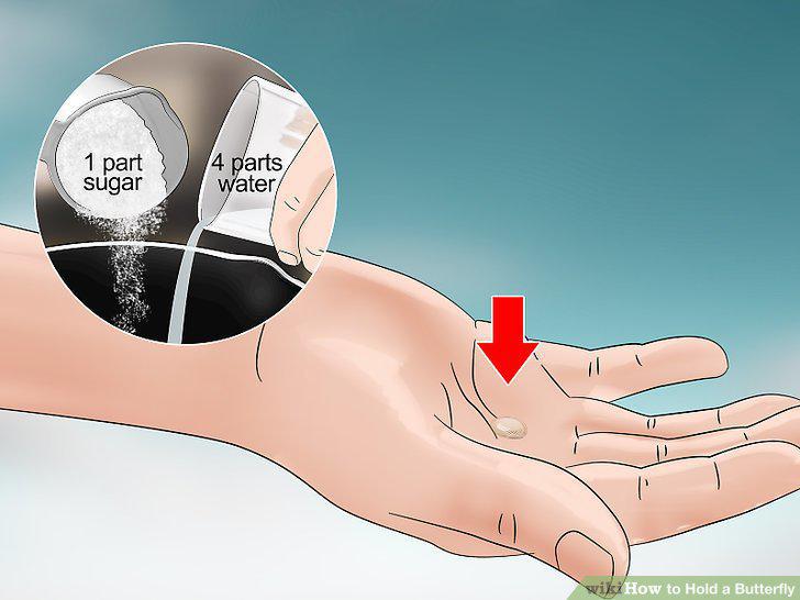 Step 10