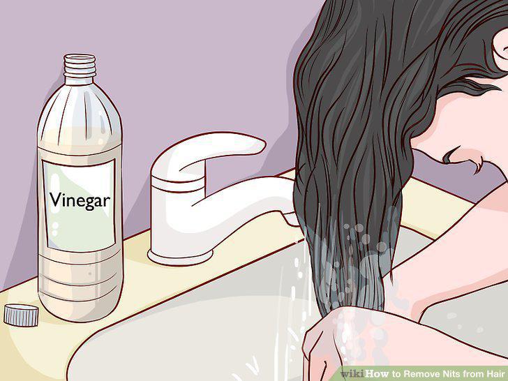 Step 12
