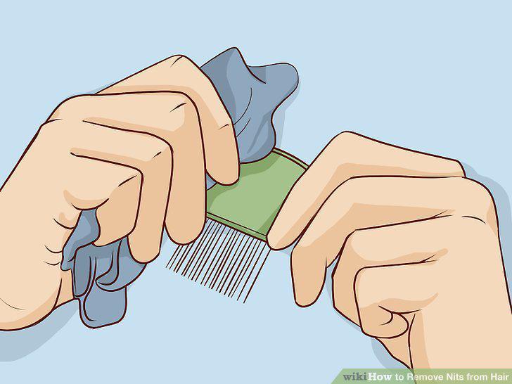 Step 13