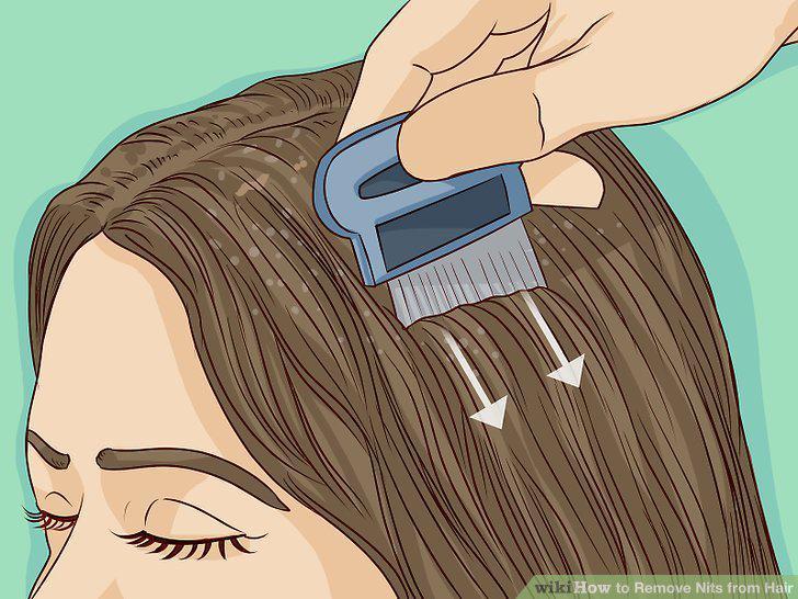 Step 6