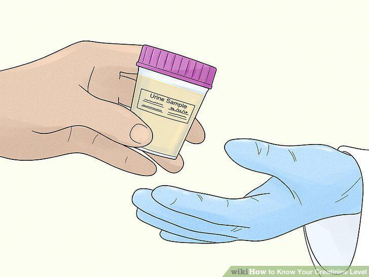 Step 12