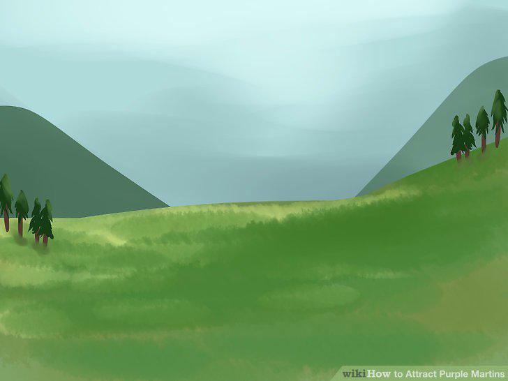 Step 2