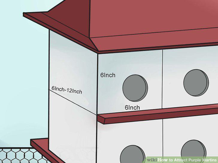 Step 11