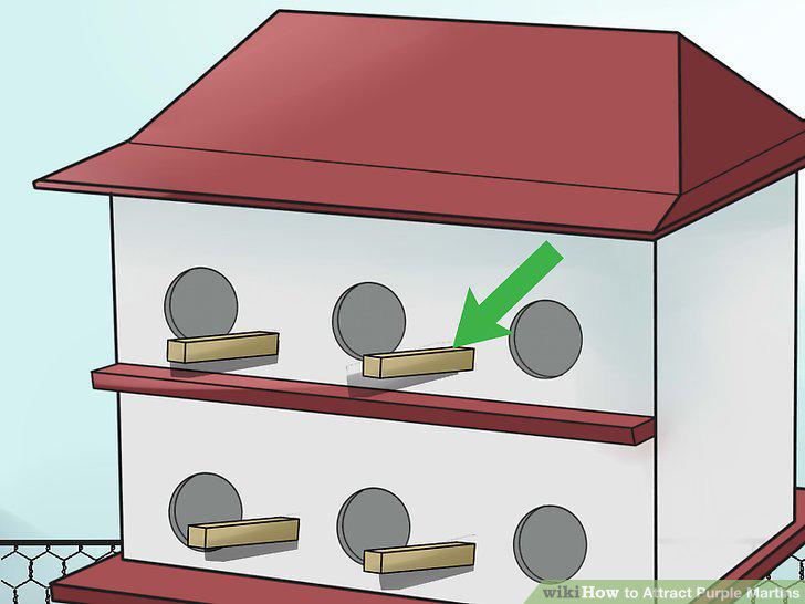Step 12