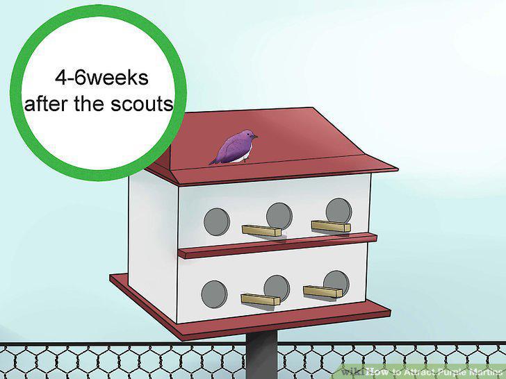 Step 13