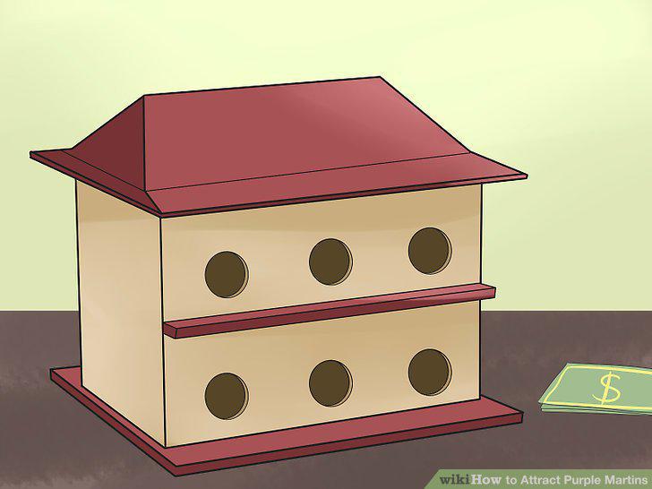 Step 5