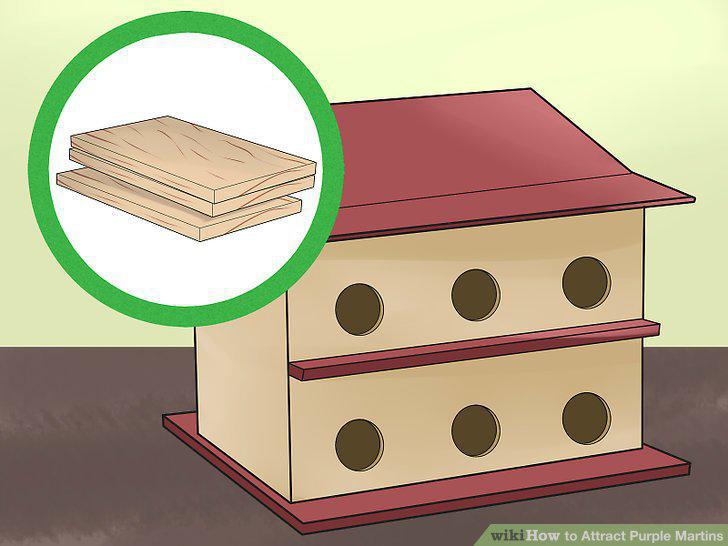 Step 7